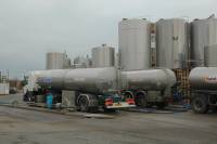 Fabrication du fromage - Transfert du lait des camions aux réservoirs de stockage du lait